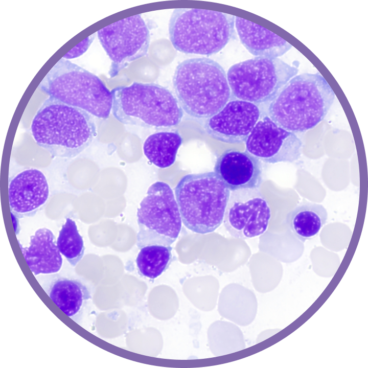 細(xì)胞采集圖